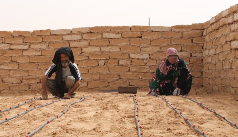 La propuesta de autonomía, una “salida en falso” para el Sahara Occidental