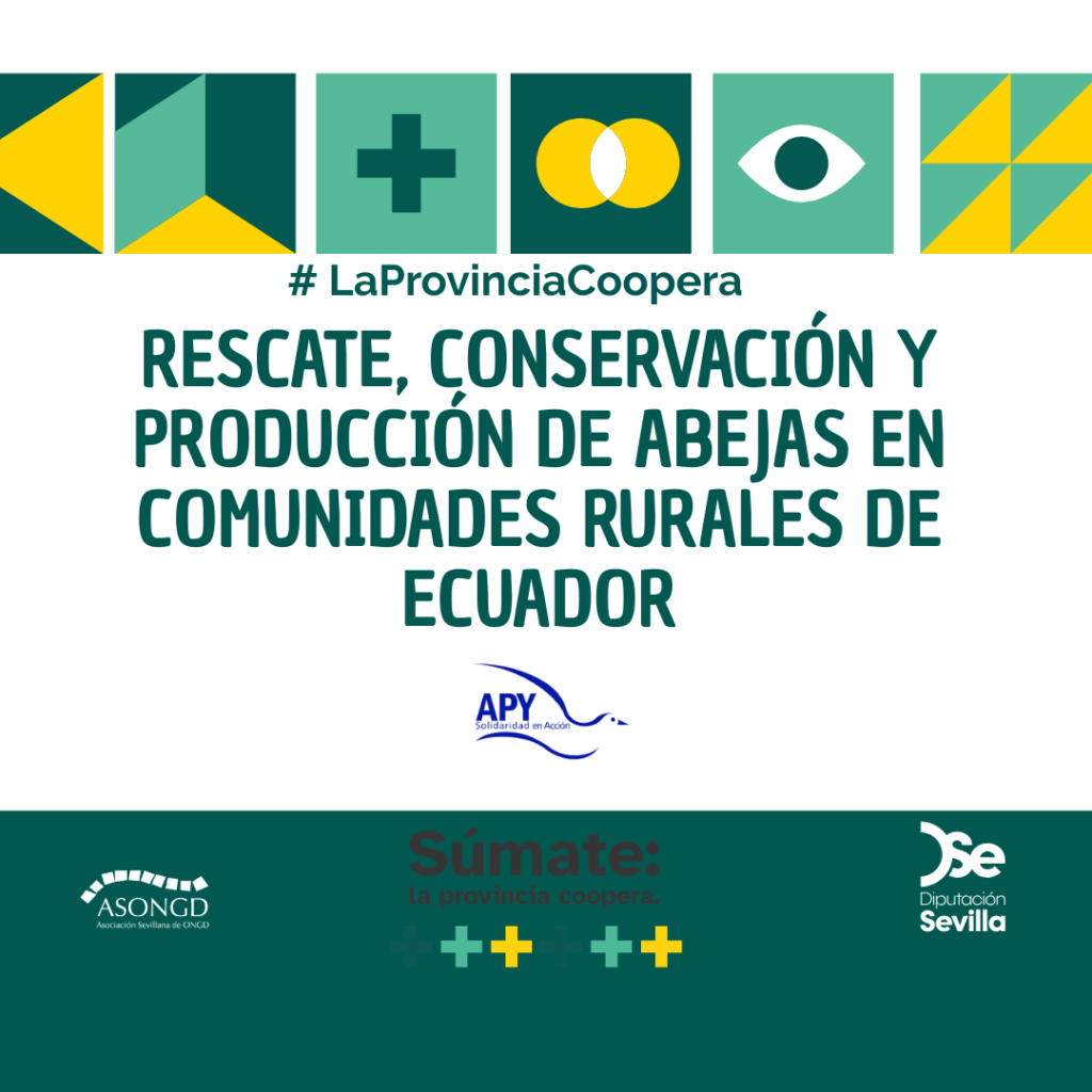 La provincia Coopera II: Rescate, conservación y producción de abejas en comunidades rurales de Ecuador con Fundación APY